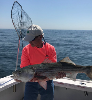 Tales of the catch: Boston fishing